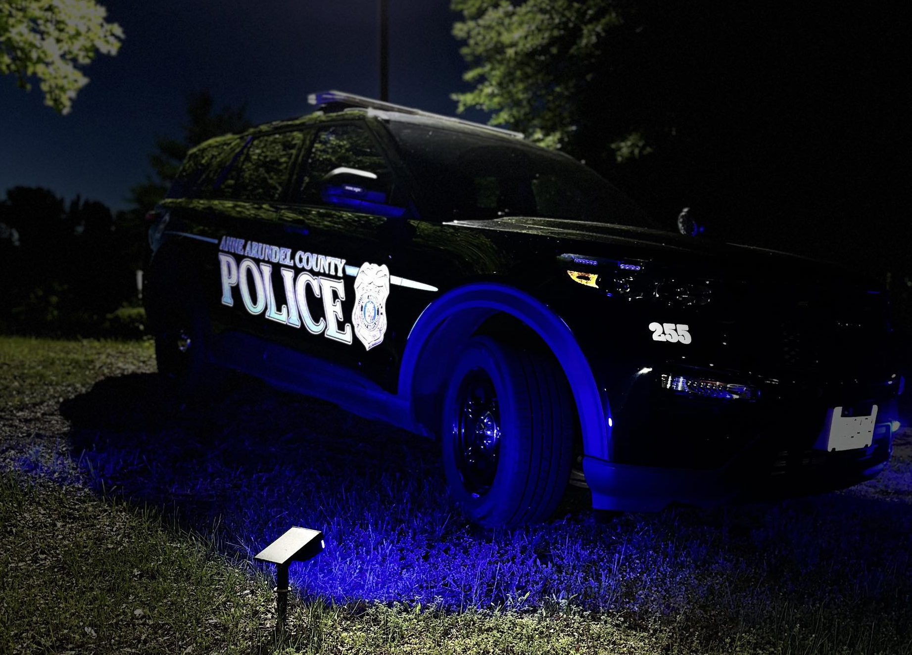 Black police SUV parked at night with blue lights illuminating the grass.