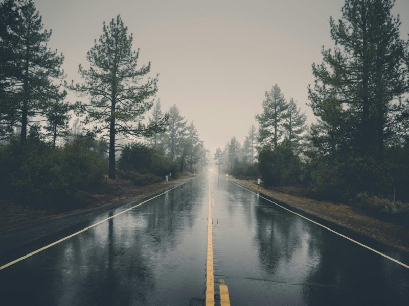 A serene rain-soaked road cutting through a misty forest, creating a mystical atmosphere.