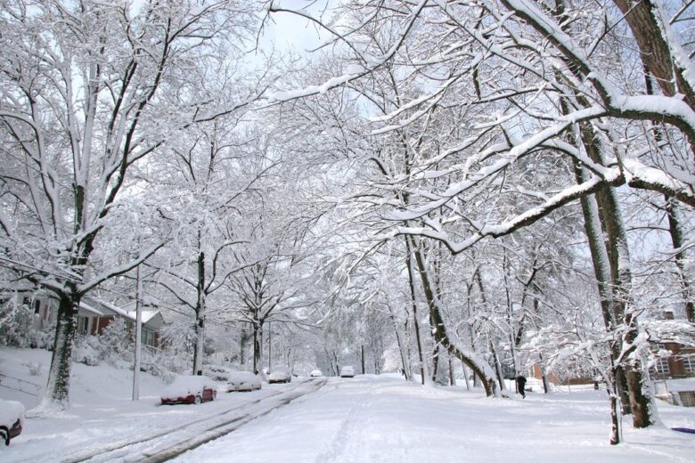 Snow-covered residential street lined with bare trees after a heavy snowfall.