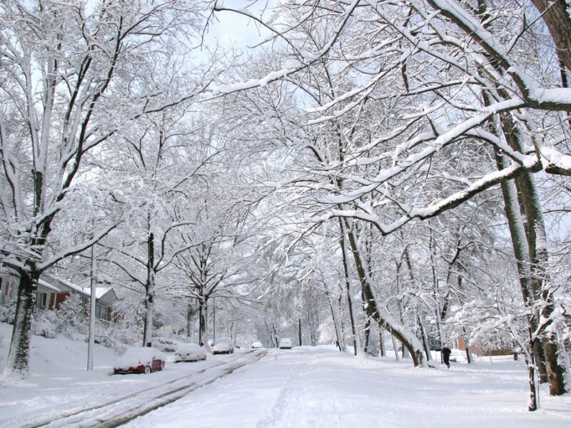 Snow-covered residential street lined with bare trees after a heavy snowfall.