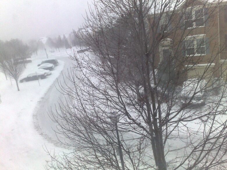 Snow-covered residential street with parked cars, bare trees, and a brick apartment building in a foggy winter scene.