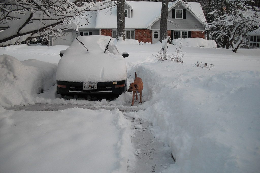 Snow-covered car in a deep driveway beside a dog standing in the snow near a house