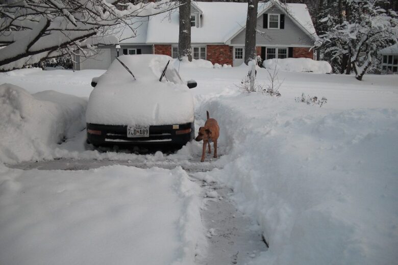Snow-covered car in a deep driveway beside a dog standing in the snow near a house