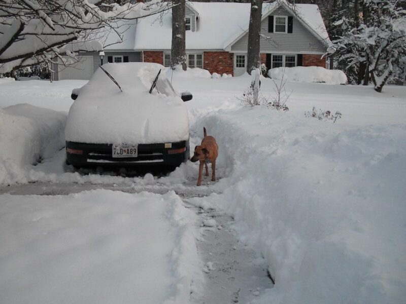 Snow-covered car in a deep driveway beside a dog standing in the snow near a house