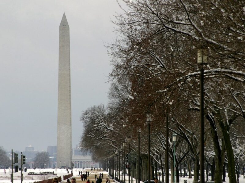 Washington Monument rises beyond a snowy, tree-lined park path under a gray winter sky.