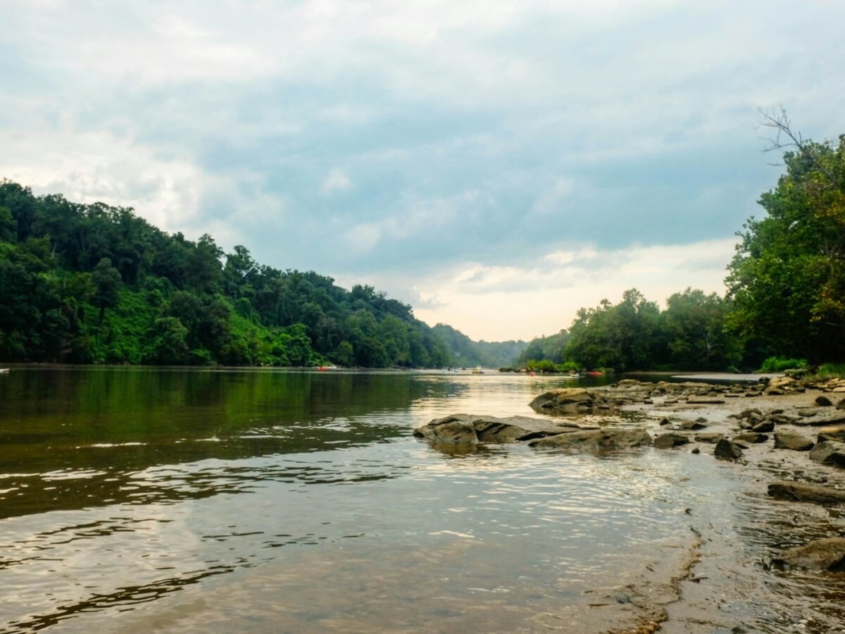 Potomac River named most endangered in US after massive sewage spill
