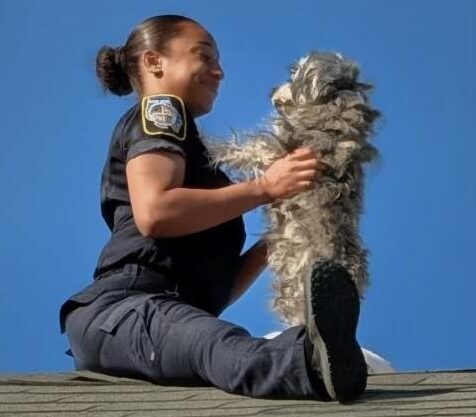 Police officer on a rooftop holding a small dog against a blue sky