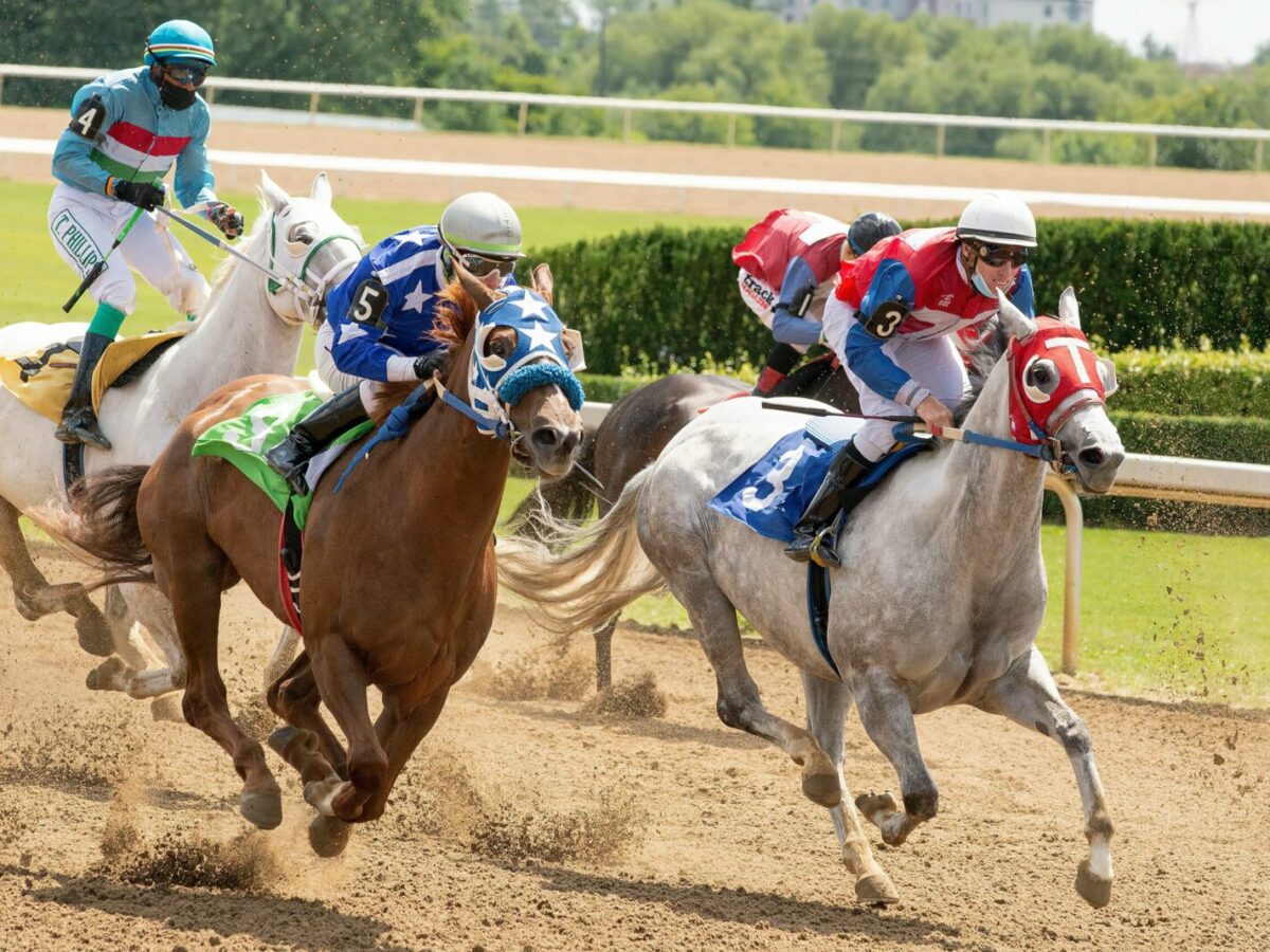 Thrilling horse race featuring jockeys competing fiercely on a sunny day.
