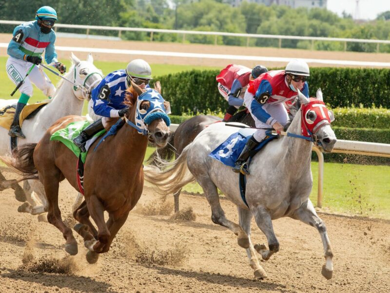 Thrilling horse race featuring jockeys competing fiercely on a sunny day.