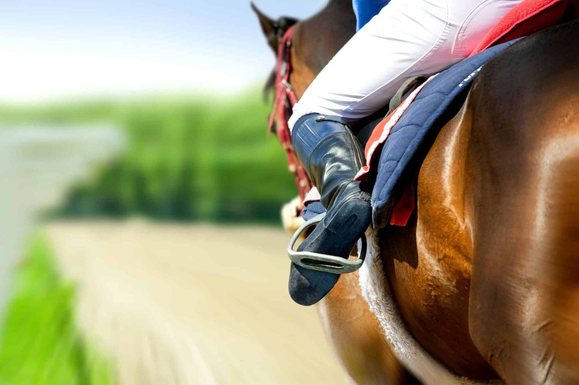 Close-up of a rider on a brown horse galloping along a track.