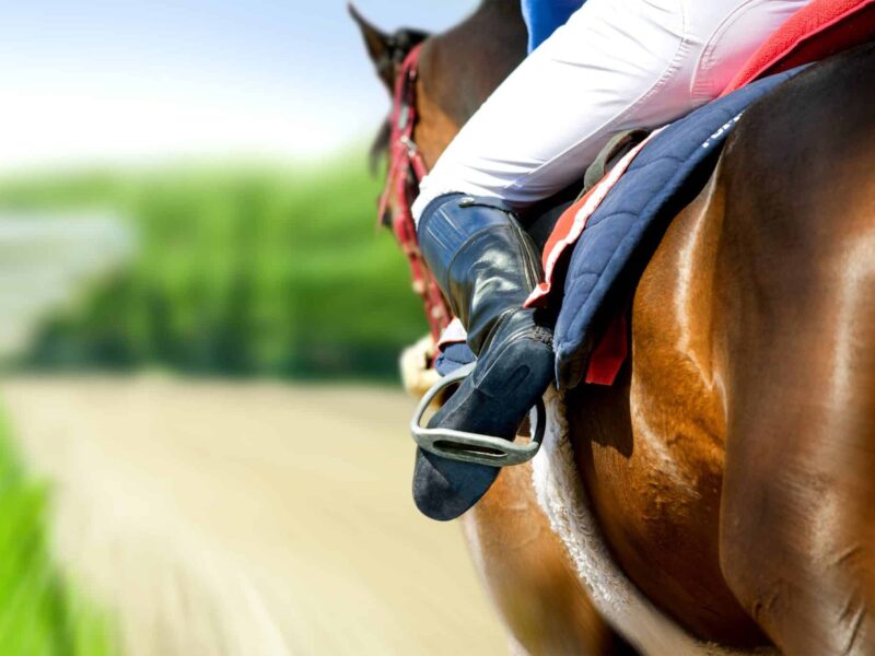 Close-up of a rider on a brown horse galloping along a track.