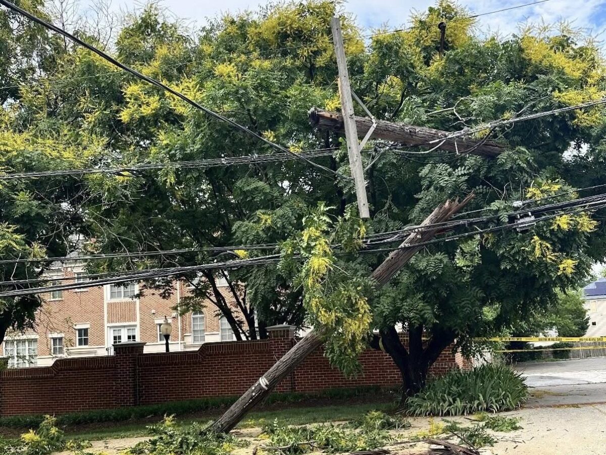 Fallen utility pole and sagging power lines rest against a large tree beside a brick wall and street.