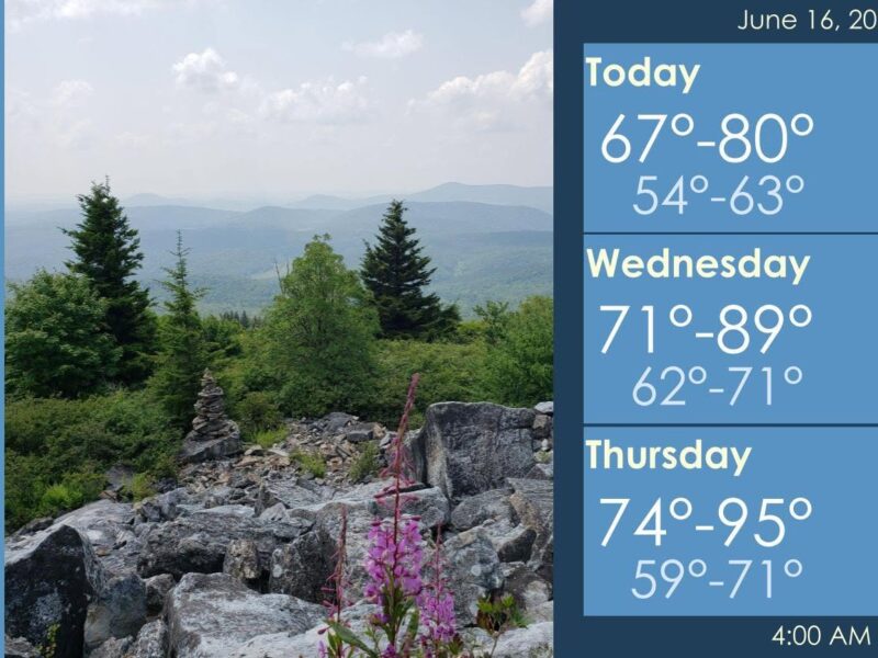 Mountain overlook with rocky foreground, pine trees, wildflowers, and a weather forecast panel on the right.