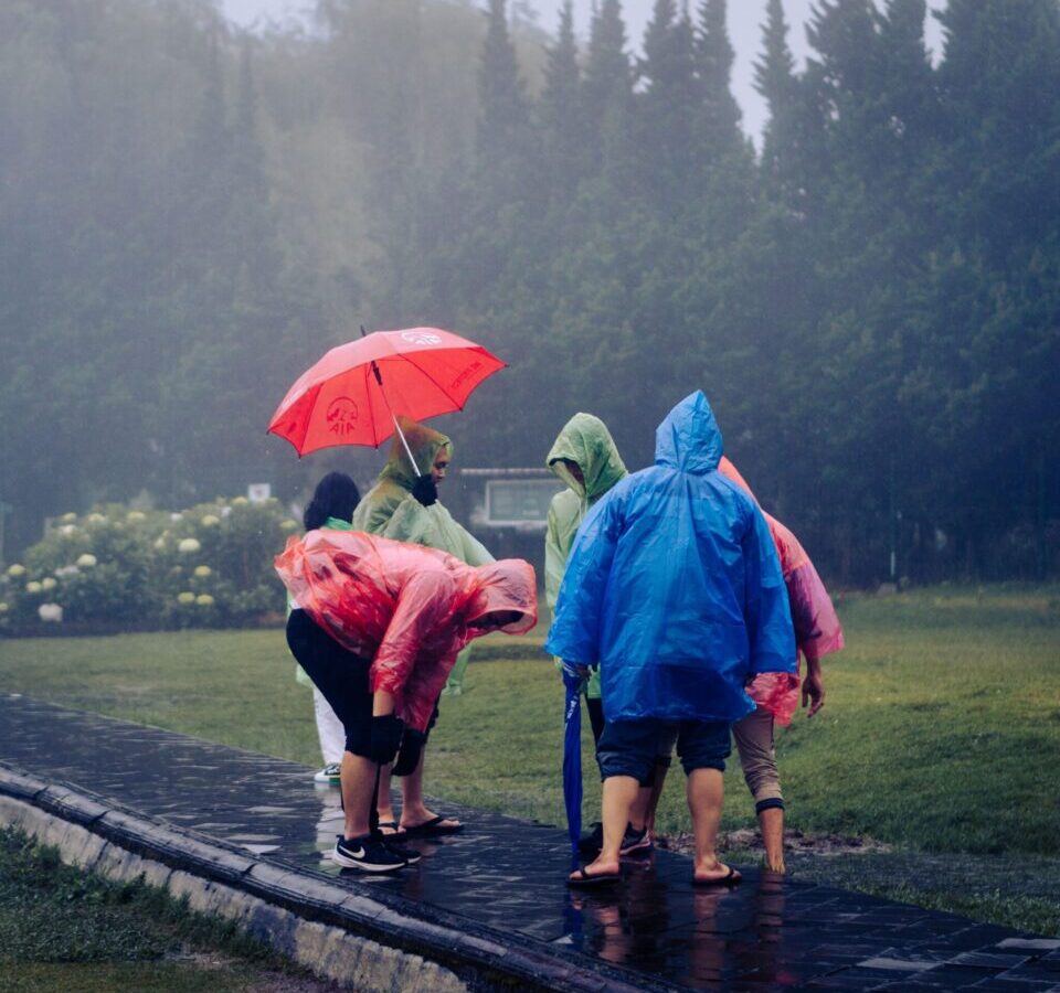 Group of people in colorful raincoats with an umbrella during rain in a lush park setting.