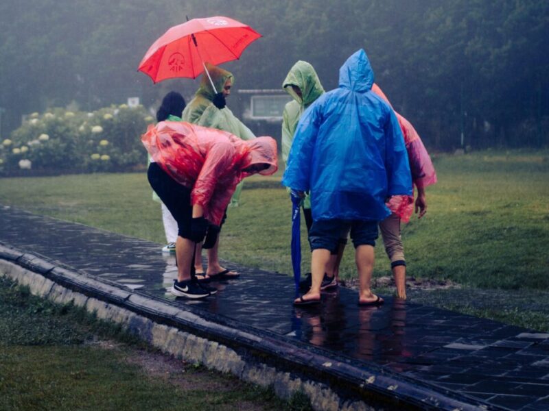Showers Sunday, then dry and warmer to start the week