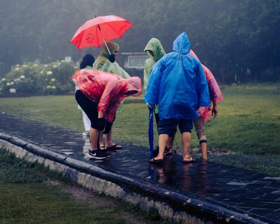 Showers Sunday, then dry and warmer to start the week