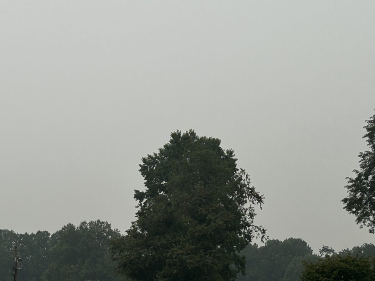 Tree line under a gray overcast sky in a quiet outdoor landscape.
