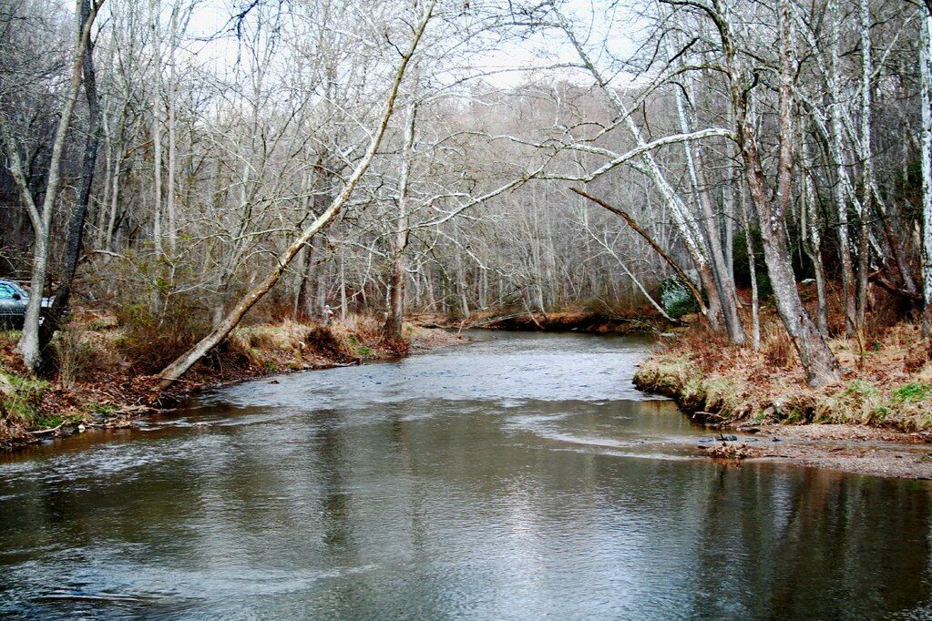 Calm river winding through a leafless forest in late autumn or winter.