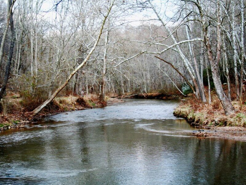 Calm river winding through a leafless forest in late autumn or winter.