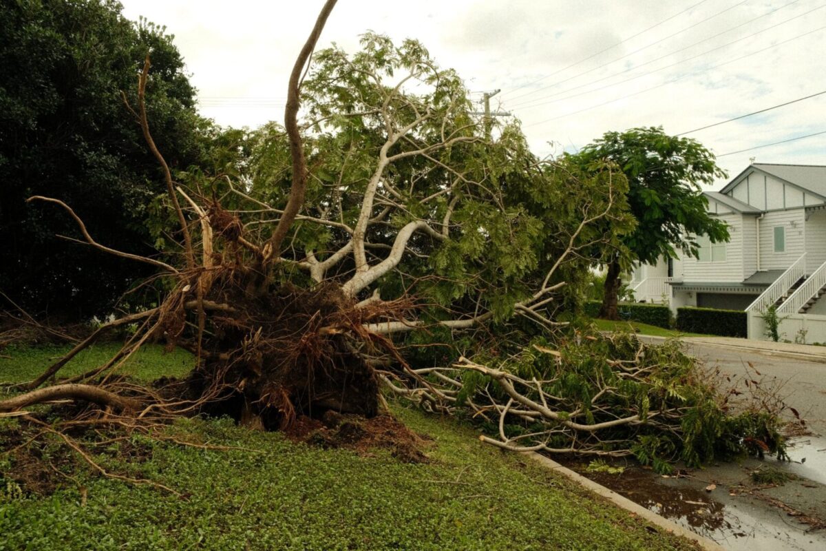 Got storm damage? Maryland’s got free answers Monday