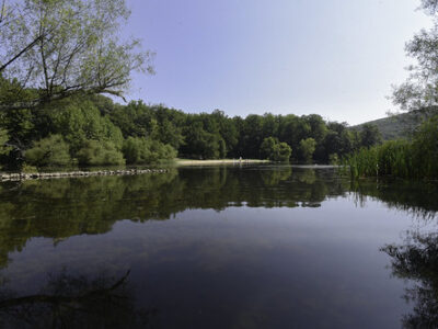 Hunting Creek Lake reopens after rabid beaver attacks