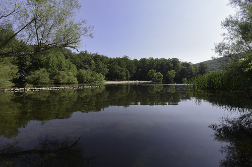 Hunting Creek Lake reopens after rabid beaver attacks