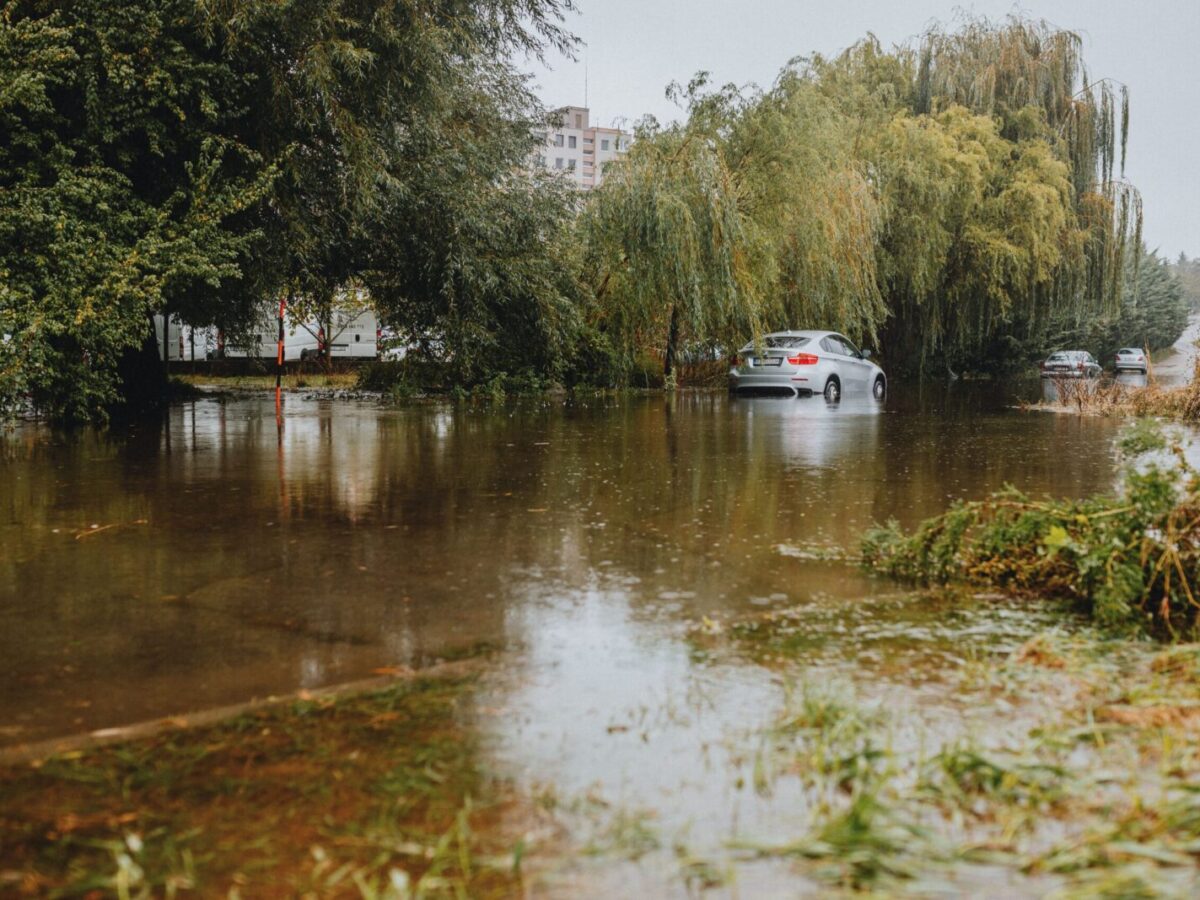 A car driving through a flooded street surrounded by lush trees and urban buildings.